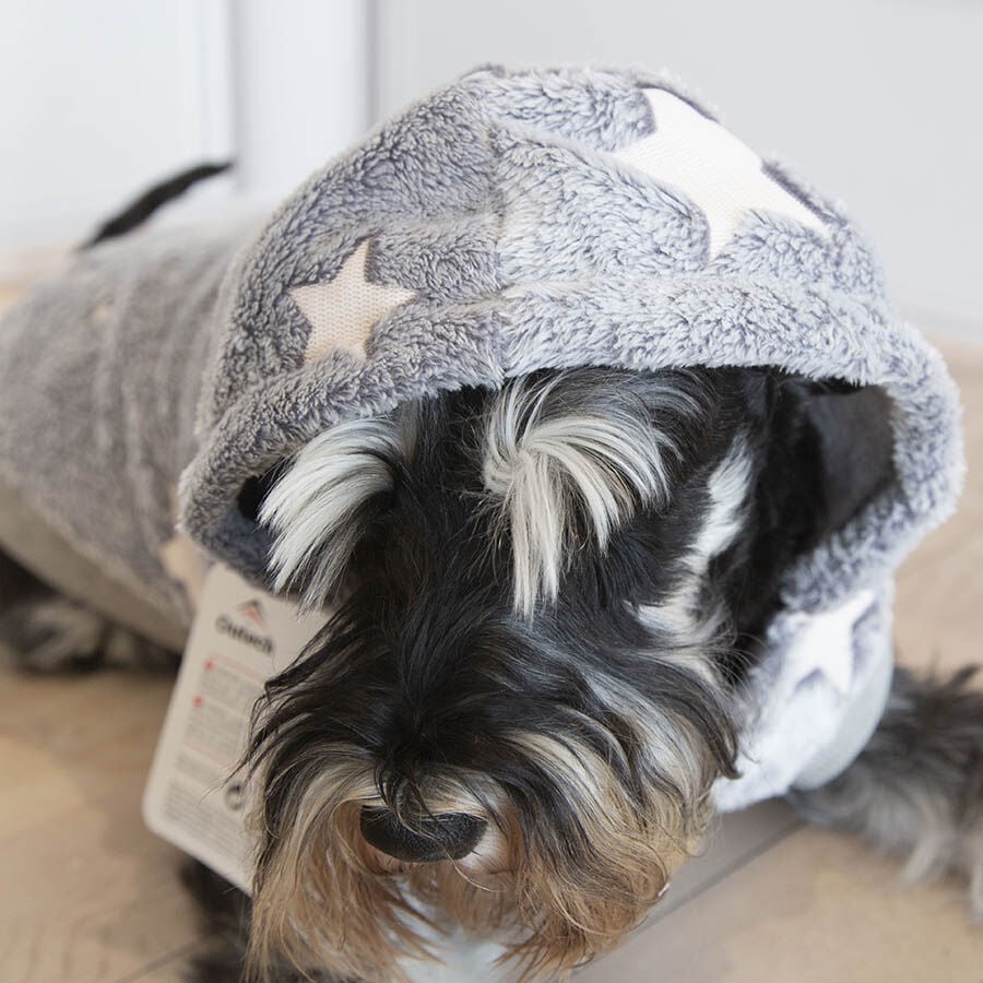 Outech Fleece Sudadera Gris con Estampado de Estrellas para perros, , large indicador imagen numero 3